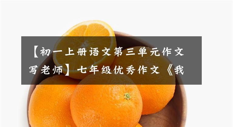 【初一上册语文第三单元作文写老师】七年级优秀作文《我的语文老师》