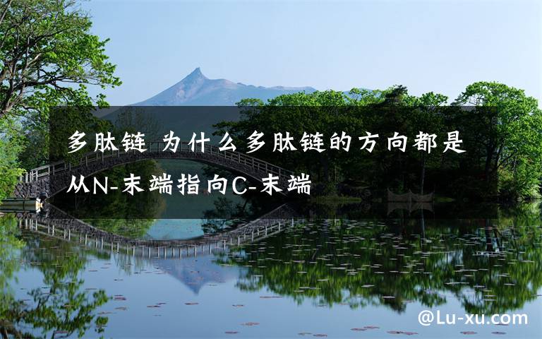 多肽链 为什么多肽链的方向都是从N-末端指向C-末端