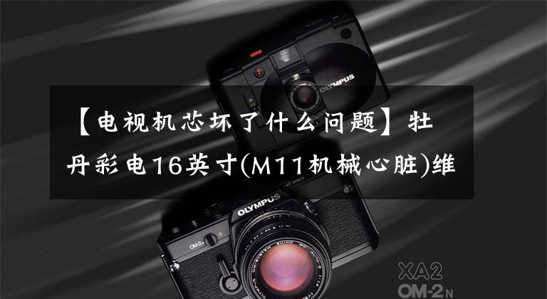 【电视机芯坏了什么问题】牡丹彩电16英寸(M11机械心脏)维修后