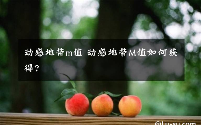 动感地带m值 动感地带M值如何获得?