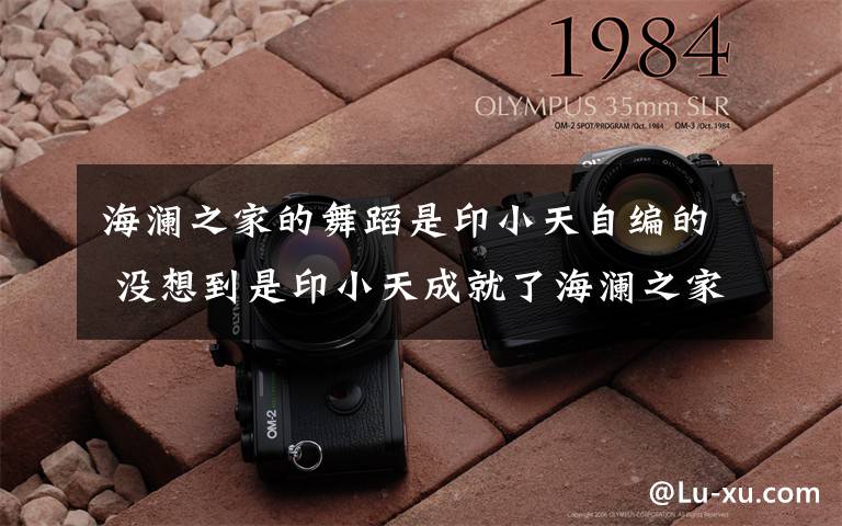 海澜之家的舞蹈是印小天自编的 没想到是印小天成就了海澜之家