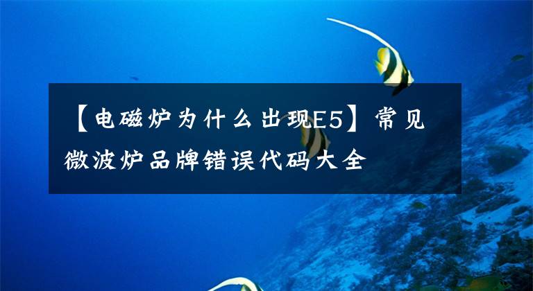 【电磁炉为什么出现E5】常见微波炉品牌错误代码大全