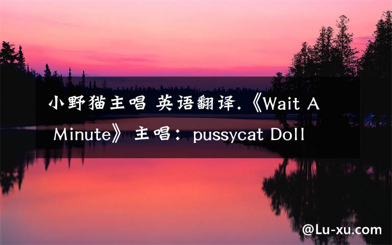 小野猫主唱 英语翻译.《Wait A Minute》主唱:pussycat Dolls(小野猫组合) 本人需要:歌词从头到尾完整的翻