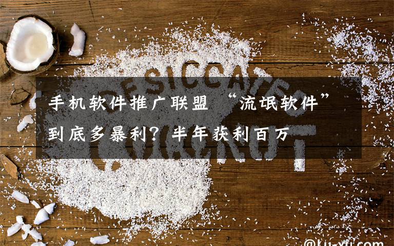 手机软件推广联盟 “流氓软件”到底多暴利?半年获利百万
