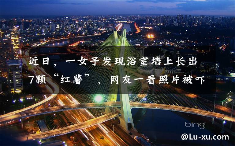 近日,一女子发现浴室墙上长出7颗“红薯”,网友一看照片被吓得狂劝她搬家。