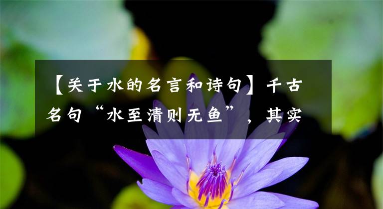 【关于水的名言和诗句】千古名句“水至清则无鱼”，其实后半句才是精华，却十人九不知