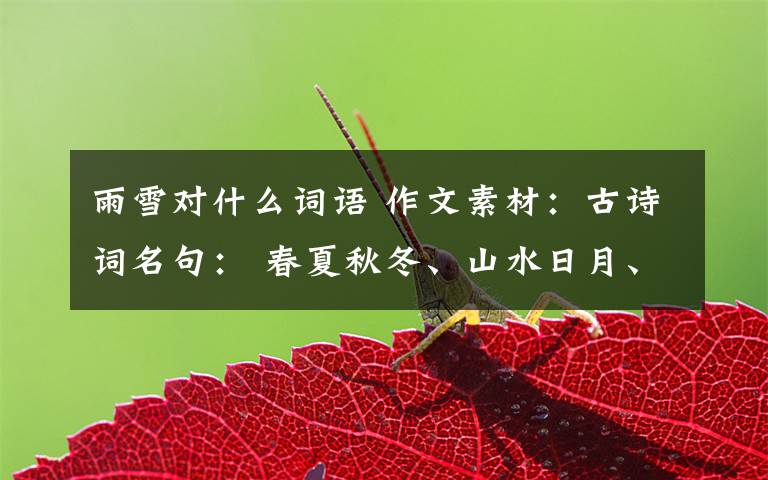 雨雪对什么词语 作文素材:古诗词名句: 春夏秋冬、山水日月、风花雨雪,孩子肯定用得上!