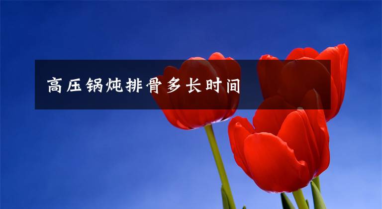 高压锅炖排骨多长时间