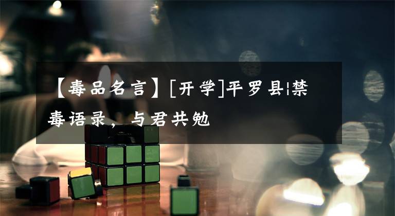 【毒品名言】[开学]平罗县|禁毒语录，与君共勉