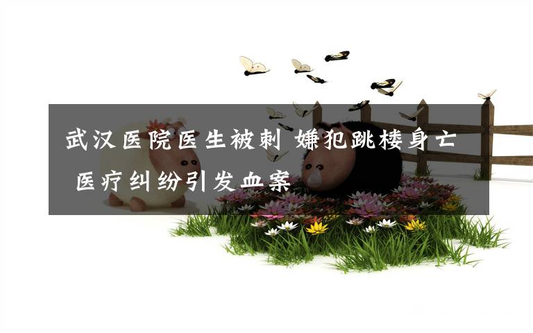 武汉医院医生被刺 嫌犯跳楼身亡 医疗纠纷引发血案
