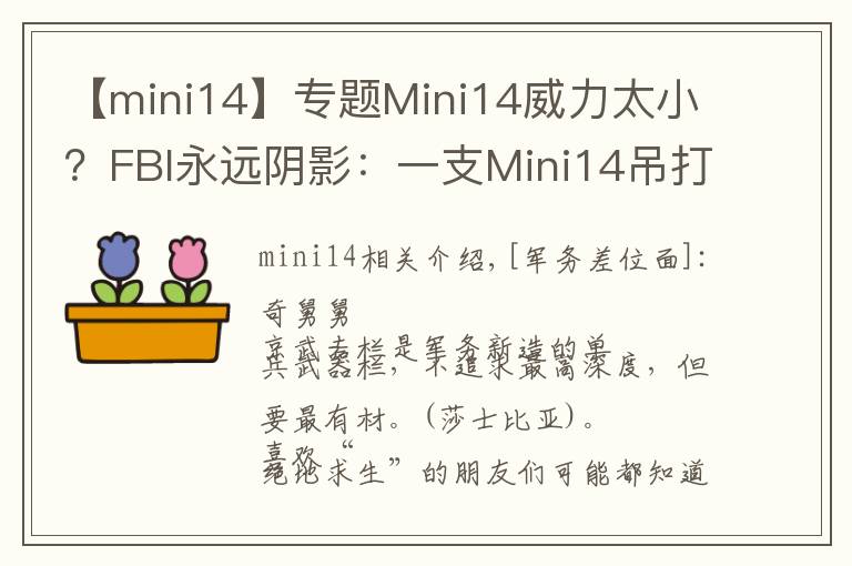 【mini14】专题Mini14威力太小?FBI永远阴影:一支Mini14吊打8名探员