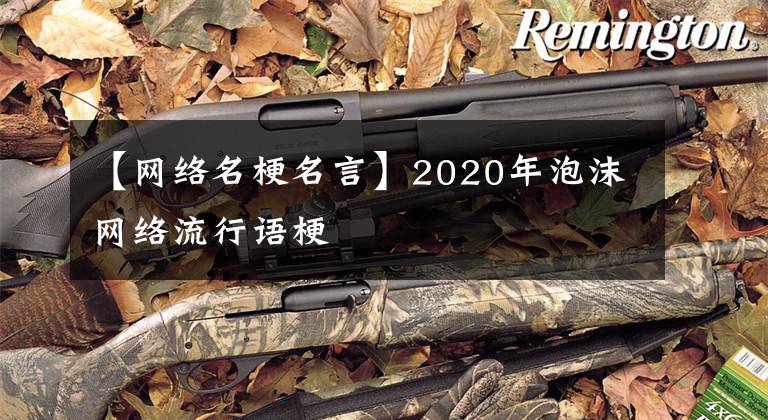 【网络名梗名言】2020年泡沫网络流行语梗