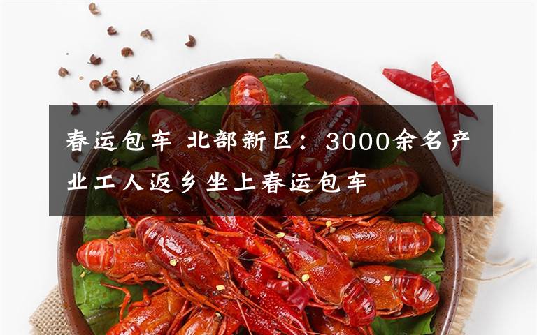 春运包车 北部新区:3000余名产业工人返乡坐上春运包车