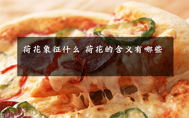 荷花象征什么 荷花的含义有哪些