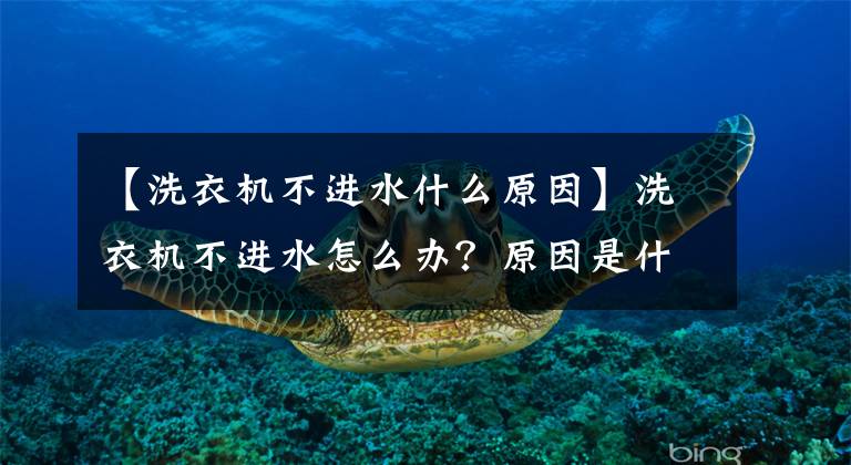 【洗衣机不进水什么原因】洗衣机不进水怎么办？原因是什么？装修网教你日常的洗衣机保养。