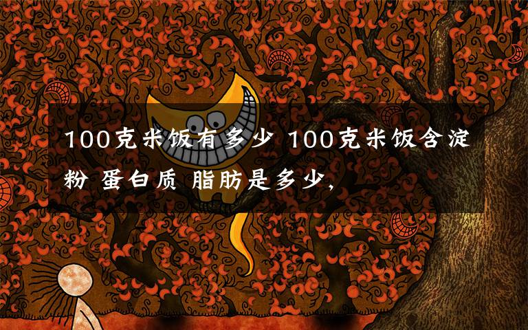100克米饭有多少 100克米饭含淀粉 蛋白质 脂肪是多少,