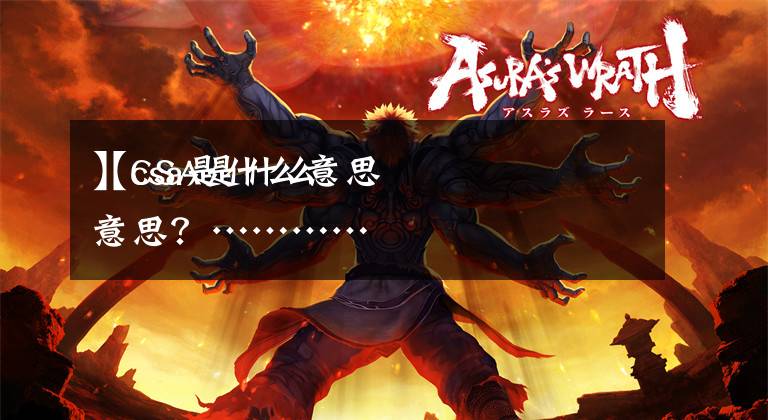 【csa是什么意思
】CSA是什么意思?…………