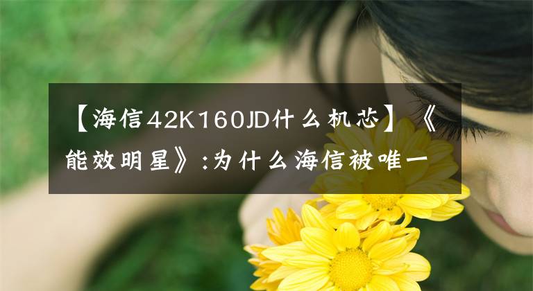 【海信42K160JD什么机芯】《能效明星》:为什么海信被唯一的彩电品牌选中？