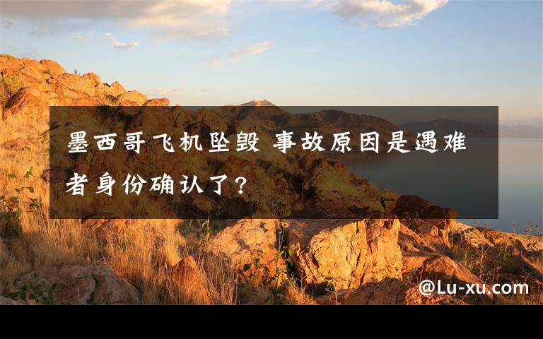 墨西哥飞机坠毁 事故原因是遇难者身份确认了?