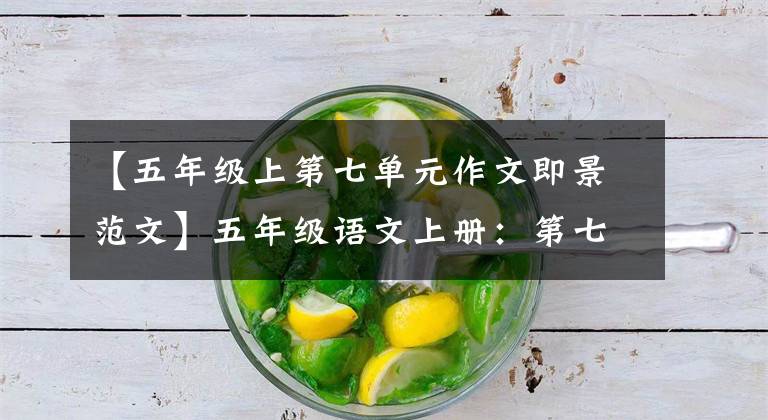 【五年级上第七单元作文即景范文】五年级语文上册:第七单元习作《——即景》优秀范文7篇