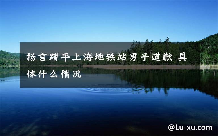 扬言踏平上海地铁站男子道歉 具体什么情况