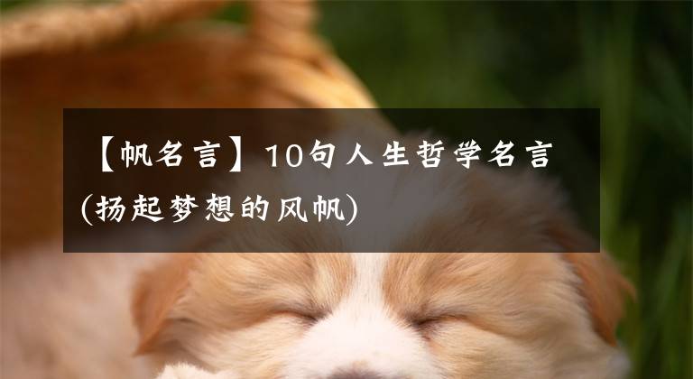 【帆名言】10句人生哲学名言(扬起梦想的风帆)