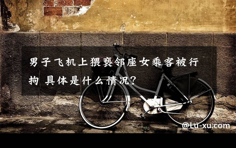 男子飞机上猥亵邻座女乘客被行拘 具体是什么情况?