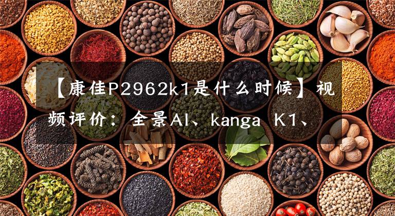 【康佳P2962k1是什么时候】视频评价:全景AI、kanga K1、说话电视