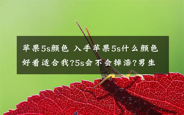 苹果5s颜色 入手苹果5s什么颜色好看适合我?5s会不会掉漆?男生 20岁