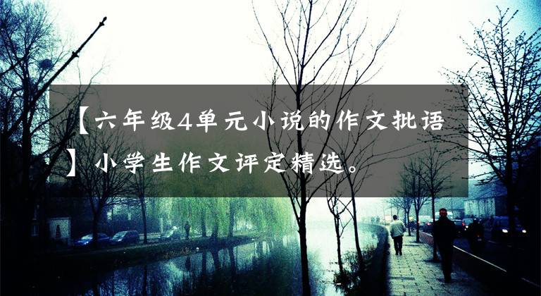【六年级4单元小说的作文批语】小学生作文评定精选。