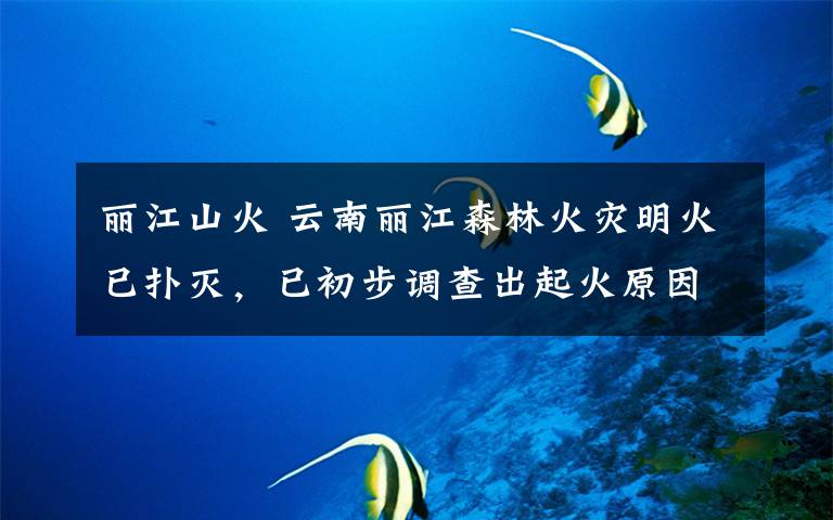 丽江山火 云南丽江森林火灾明火已扑灭,已初步调查出起火原因