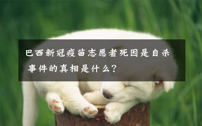 巴西新冠疫苗志愿者死因是自杀 事件的真相是什么?