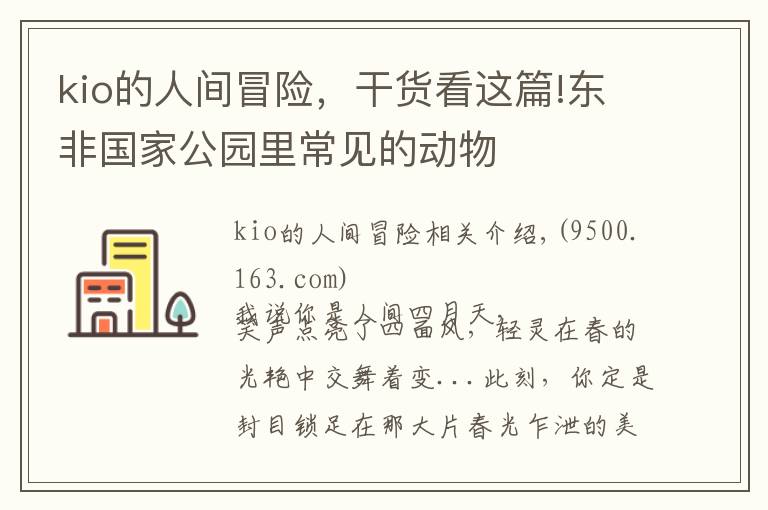 kio的人间冒险,干货看这篇!东非国家公园里常见的动物