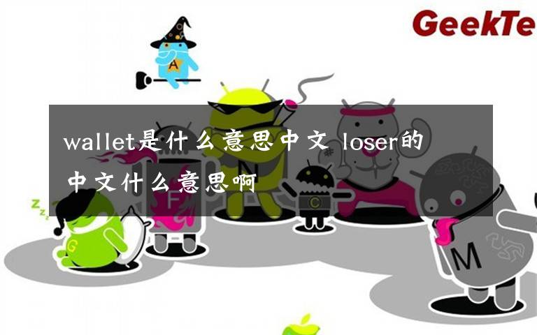 wallet是什么意思中文 loser的中文什么意思啊