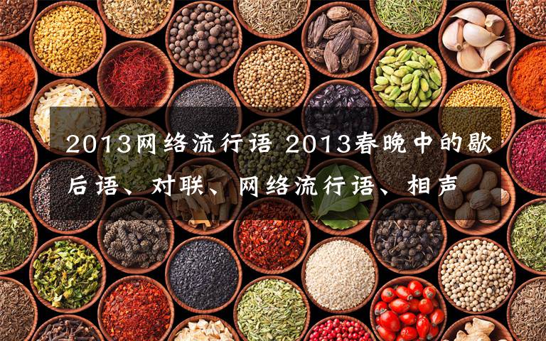 2013网络流行语 2013春晚中的歇后语、对联、网络流行语、相声小品中的幽默语句