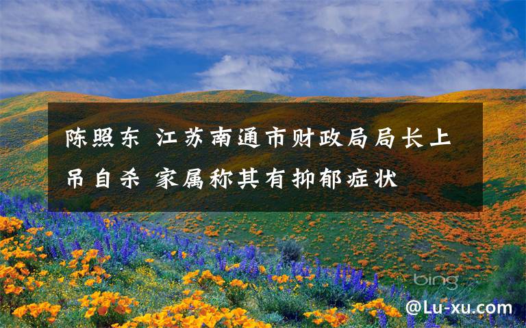 陈照东 江苏南通市财政局局长上吊自杀 家属称其有抑郁症状