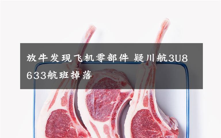 放牛发现飞机零部件 疑川航3U8633航班掉落