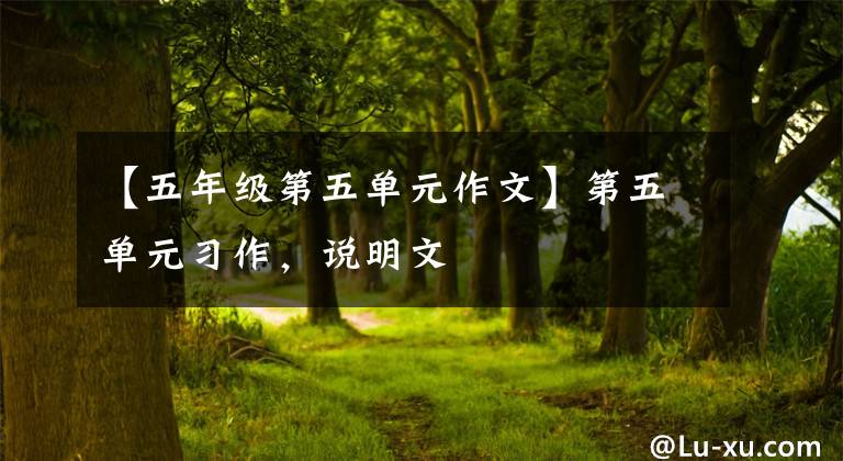 【五年级第五单元作文】第五单元习作,说明文