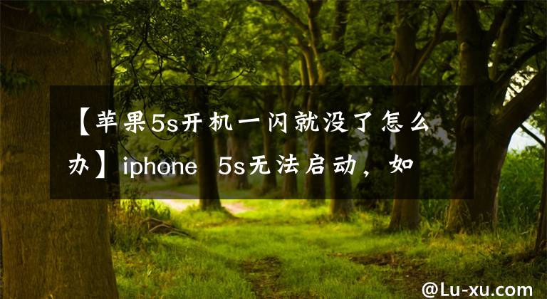 【苹果5s开机一闪就没了怎么办】iphone 5s无法启动，如何处理