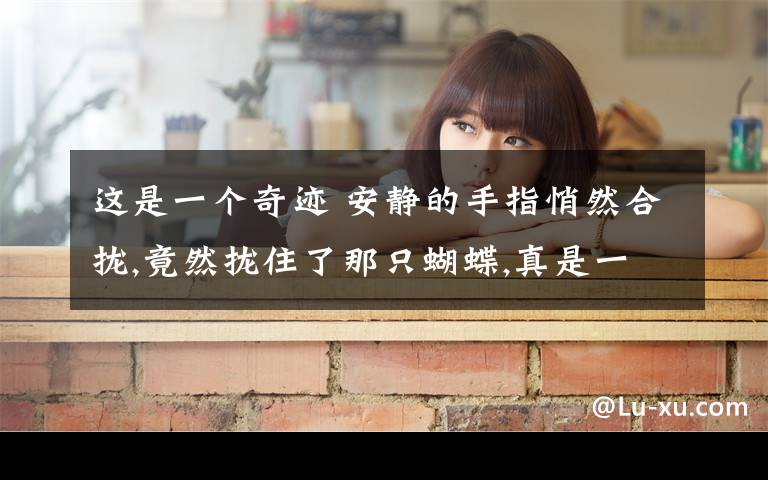 这是一个奇迹 安静的手指悄然合拢,竟然拢住了那只蝴蝶,真是一个奇迹!为什么说这是一个奇迹?