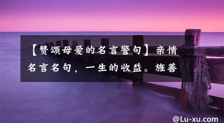 【赞颂母爱的名言警句】亲情名言名句,一生的收益。旌善28区