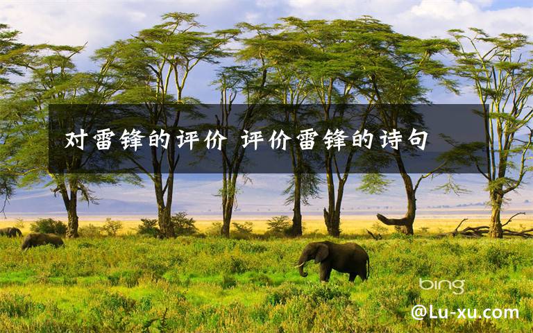 对雷锋的评价 评价雷锋的诗句