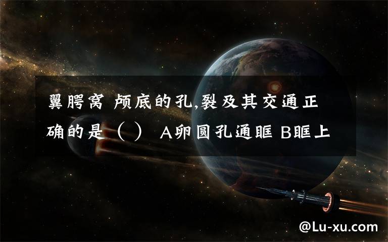 翼腭窝 颅底的孔,裂及其交通正确的是( ) A卵圆孔通眶 B眶上裂通眶上孔 C筛孔通蝶筛隐窝 D圆孔通翼腭窝 E内耳门