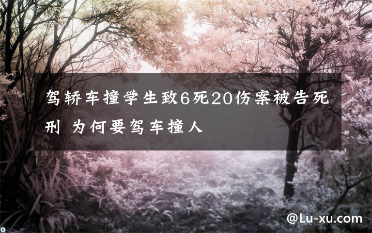 驾轿车撞学生致6死20伤案被告死刑 为何要驾车撞人