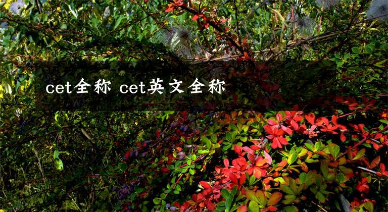 cet全称 cet英文全称