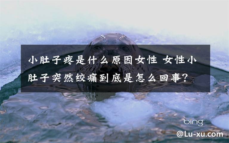 小肚子疼是什么原因女性 女性小肚子突然绞痛到底是怎么回事?可能是疾病使然,找对解决办法是关键