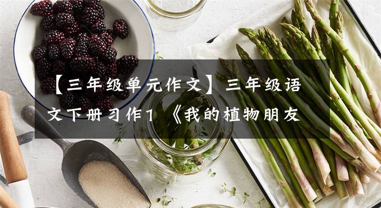 【三年级单元作文】三年级语文下册习作1 《我的植物朋友》范文,提供作文指导