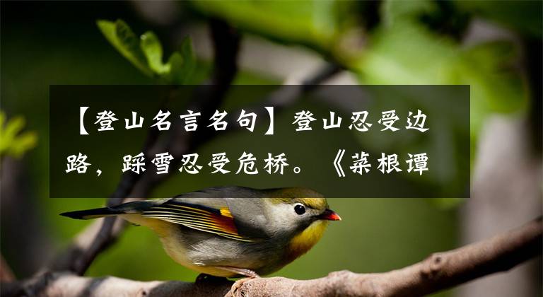 【登山名言名句】登山忍受边路，踩雪忍受危桥。《菜根谭》古典名句鉴赏分析(47)