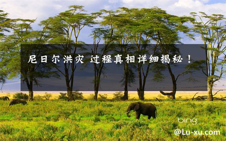 尼日尔洪灾 过程真相详细揭秘!