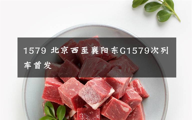 1579 北京西至襄阳东G1579次列车首发